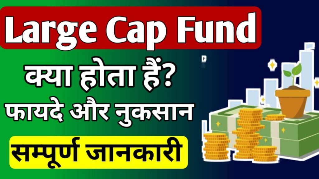 Large Cap fund meaning in Hindi