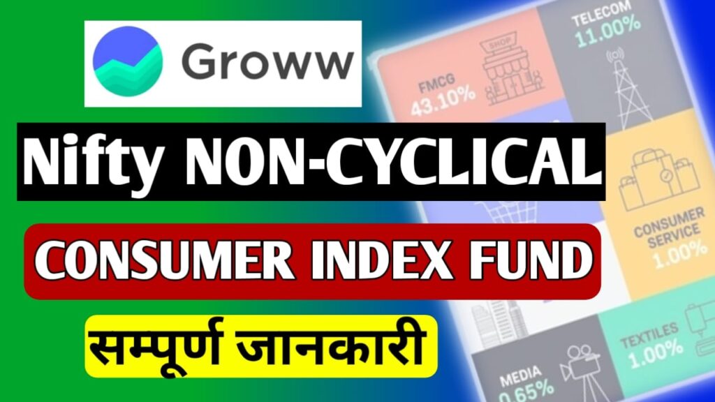 nifty non-cyclical consumer index fund in Hindi