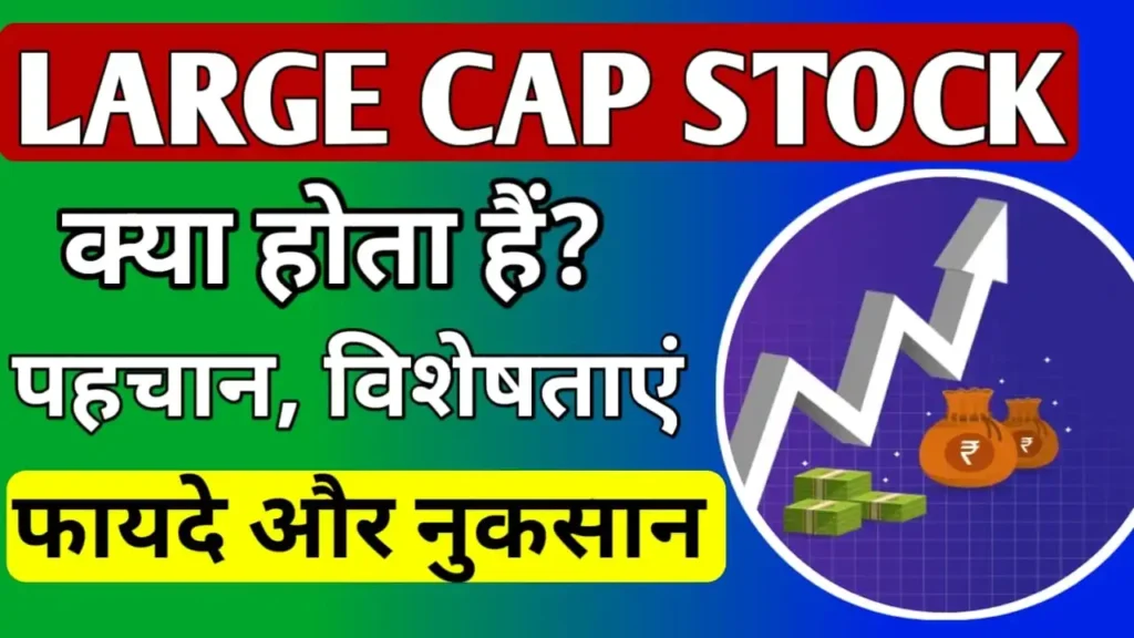 large cap stocks meaning in hindi 